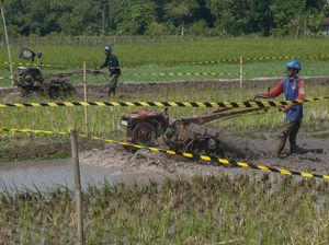 Batalkan 10 Kontrak Alsintan, Kementan: Masih Ditinjau Ulang