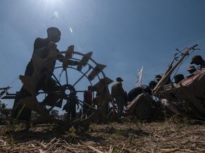 Bukan Pungli, Penyuluh Pertanian Sebut Bantuan Traktor Rp 3 Juta Uang Syukuran