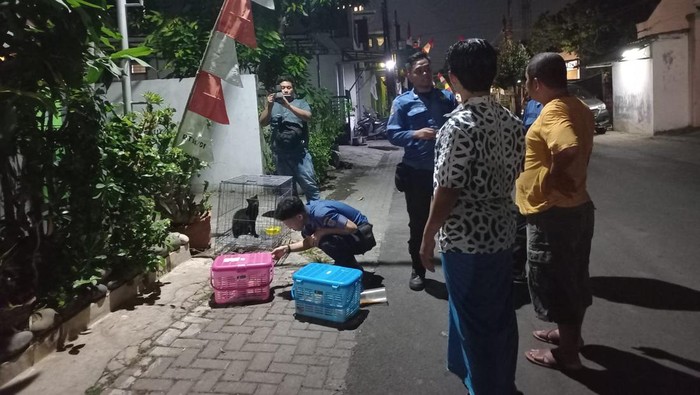 Foto lokasi tempat kucing ditangkap warga