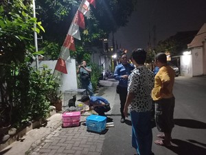 Heboh 3 Kucing Berliur di Sampangan Semarang, Ini Penjelasan Dispertan