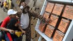 Batu Secret Zoo Gelar Peringatan Hari Harimau Sedunia