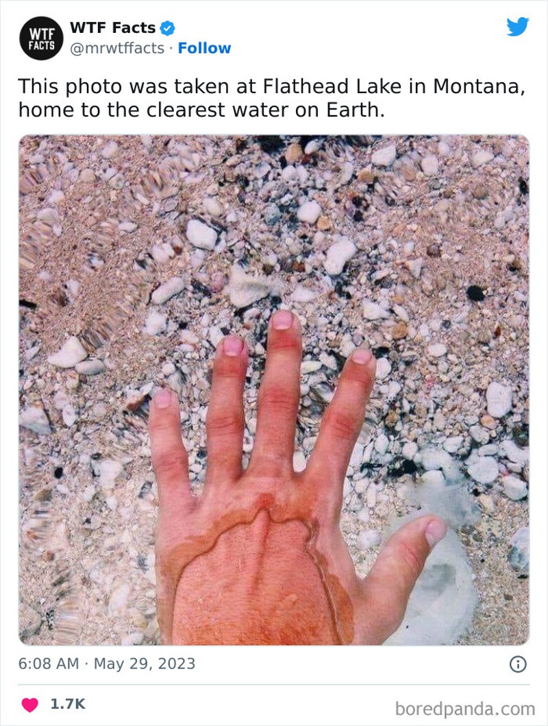 mrwtffacts via Bored Panda