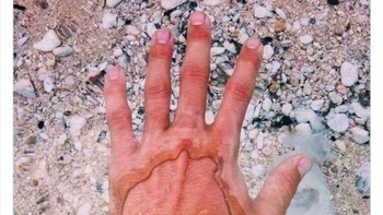 Danau Flathead di Montana punya air terjernih di dunia. Foto: mrwtffacts via Bored Panda