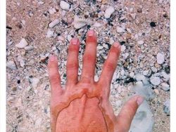 Perlu Tahu, Deretan Fakta Unik yang Mind Blowing