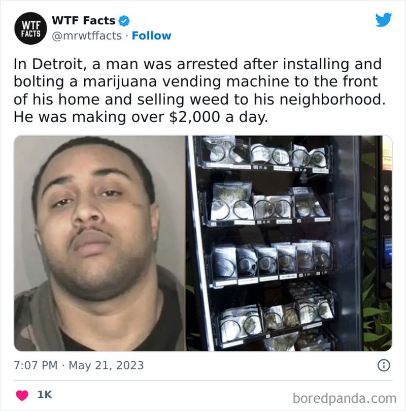 mrwtffacts via Bored Panda