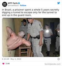mrwtffacts via Bored Panda