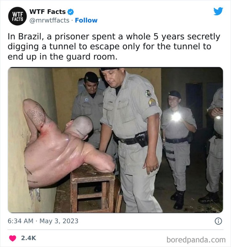 mrwtffacts via Bored Panda