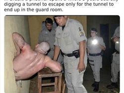 Perlu Tahu, Deretan Fakta Unik yang Mind Blowing