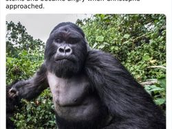 Perlu Tahu, Deretan Fakta Unik yang Mind Blowing