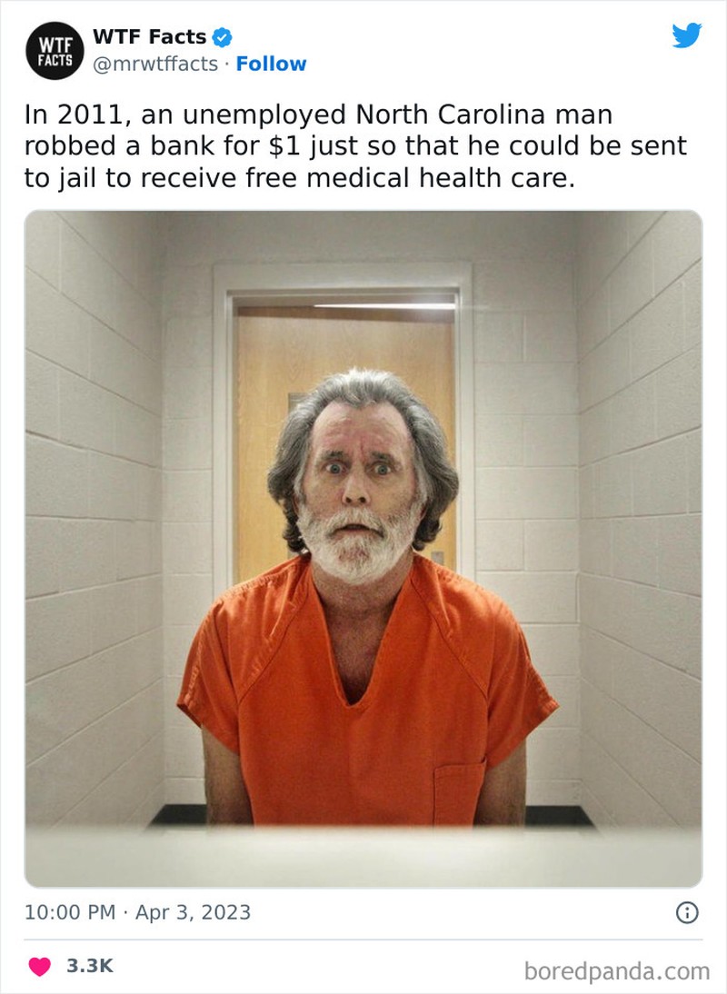 mrwtffacts via Bored Panda