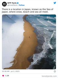 mrwtffacts via Bored Panda