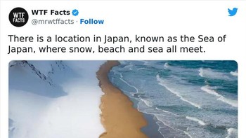 Di Jepang, ada salju, pantai, dan laut yang bertemu. Foto: mrwtffacts via Bored Panda