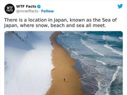 Perlu Tahu, Deretan Fakta Unik yang Mind Blowing