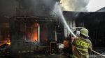 Si Jago Merah Lalap Permukiman Warga di Kapuk Muara