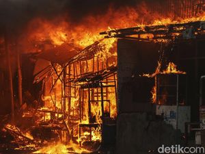 Si Jago Merah Lalap Permukiman Warga di Kapuk Muara
