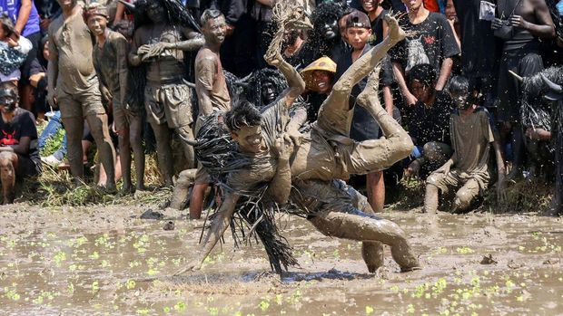 Warga yang berdandan seperti kerbau menceburkan penonton ke dalam lumpur sawah pada tradisi Kebo-keboan Alas Malang di Banyuwangi, Jawa Timur, Minggu (30/7/2023). Tradisi yang dilaksanakan setiap tanggal 10 Suro pada penanggalan Jawa itu digelar sebagai penolak bala sekaligus wujud syukur masyarakat setempat atas rezeki dan panen yang telah diperoleh. ANTARA FOTO/Budi Candra Setya/YU
