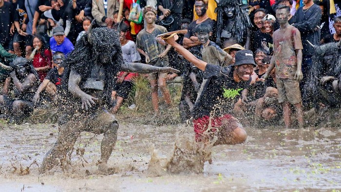 Kebo-keboan, Tradisi Menolak Bala di Banyuwangi Warga yang berdandan seperti kerbau menceburkan penonton ke dalam lumpur sawah pada tradisi Kebo-keboan Alas Malang di Banyuwangi, Jawa Timur, Minggu (30/7/2023). Tradisi yang dilaksanakan setiap tanggal 10 Suro pada penanggalan Jawa itu digelar sebagai penolak bala sekaligus wujud syukur masyarakat setempat atas rezeki dan panen yang telah diperoleh. ANTARA FOTO/Budi Candra Setya/YU