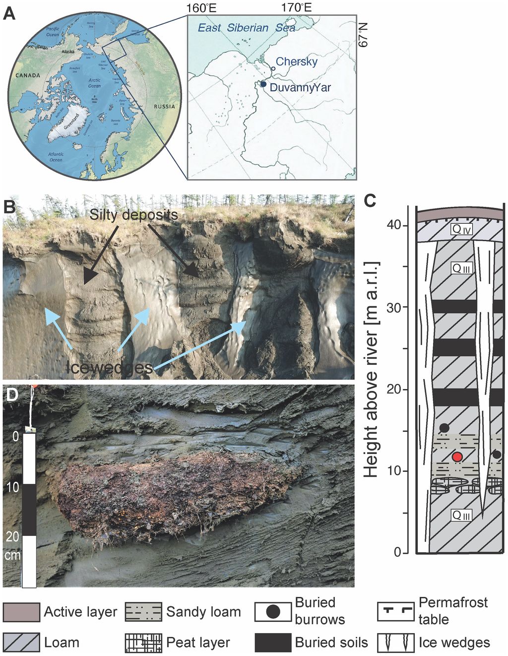 Permafrost cacing purba