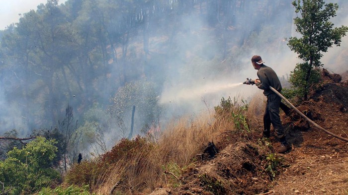 Potret Perjuangan Damkar Padamkan Kebakaran di Suriah Kebakaran melanda hutan di Latakia, Suriah. Petugas damkar pun terus berusaha untuk memadamkan kobaran api.