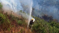 Petugas damkar berusaha memadamkan api yang membakar hutan di Latakia, Suriah, Sabtu (29/7/2023) waktu setempat. 