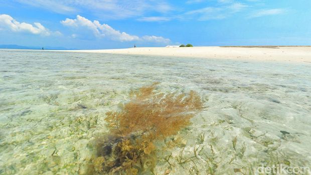 Pulau Panjang juga tak jauh dari Pulau Semujur. Bahkan pasirnya juga putih (Foto; Deni Wahyono)