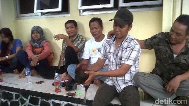 Saksi membawa ayam di persidangan