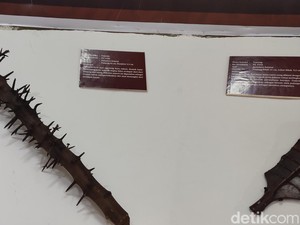 Mengenal Rukam, Senjata Pelindung Diri-Pemukul Mahluk Halus dari Ogan Ilir