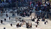 Tradisi menangkap ikan yang dilakukan hanya pada bulan Suro penenggalan Jawa tersebut sebagai cara warga sekitar memberikan waktu ikan berkembang biak agar ekosistem tetap lestari sebelum nantinya akan dipanen kembali pada tahun berikutnya. 