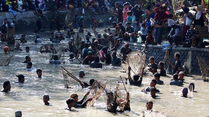 Serunya Tradisi Grobyak Ikan di Sumber Gundi Kediri Sejumlah warga menangkap ikan saat tradisi Grobyak Ikan di Sumber Gundi, Desa Tanjung, Kediri, Jawa Timur, Minggu (30/7/2023). Tradisi menangkap ikan yang dilakukan hanya pada bulan Suro penenggalan Jawa tersebut sebagai cara warga sekitar memberikan waktu ikan berkembang biak agar ekosistem tetap lestari sebelum nantinya akan dipanen kembali pada tahun berikutnya. ANTARA FOTO/Prasetia Fauzani/YU