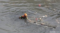 Bekerja dengan totalitas, petugas itu tidak ragu untuk nyebur ke aliran BKT.