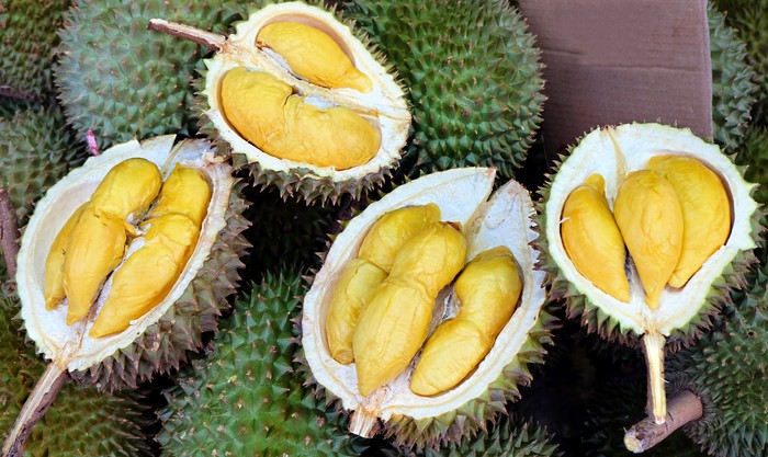 Lelang durian di China laku terjual Rp 820 jutaan