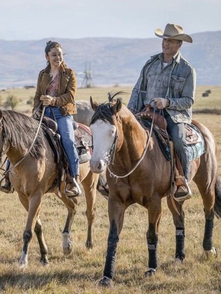 Sinopsis Rambo: Last Blood di Bioskop Trans TV Hari Ini