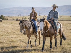 Sinopsis Rambo: Last Blood di Bioskop Trans TV Hari Ini