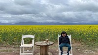 Berfoto di kebun canola.