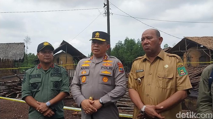 Kapolda Sumut Irjen Agung Setya Imam Effendi saat meninjau lokasi pengolahan kayu bakau menjadi arang. (Foto: Finta Rahyuni/detikSumut)
