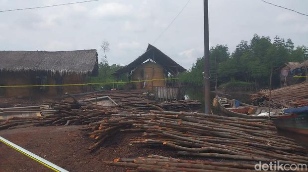 Kapolda Sumut Irjen Agung Setya Imam Effendi saat meninjau lokasi pengolahan kayu bakau menjadi arang. (Foto: Finta Rahyuni/detikSumut)