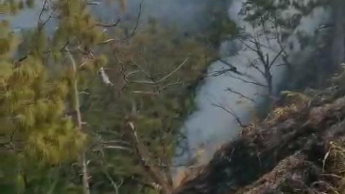 Kebakaran hutan di Probolinggo