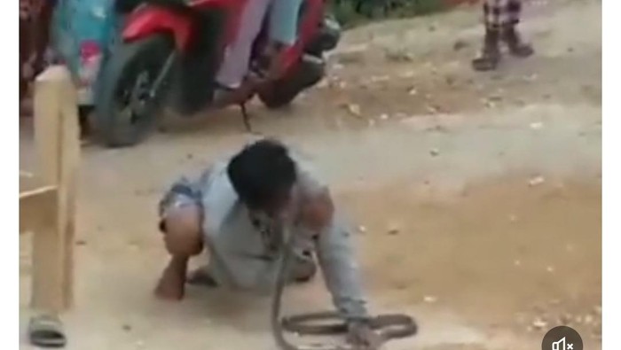 Pemuda Grobogan tewas dipatuk ular kobra saat atraksi. Foto diunggah Senin (31/7/2023).