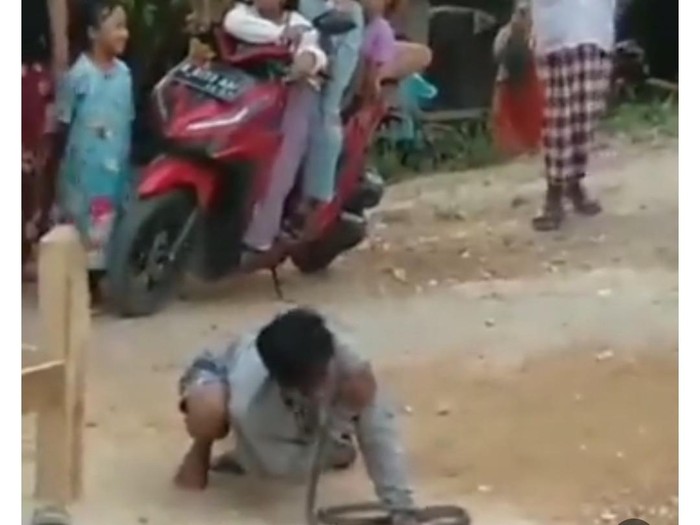 Pemuda Grobogan tewas dipatuk ular kobra saat atraksi. Foto diunggah Senin (31/7/2023).