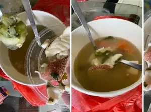 Kopi Klotok Alami Kerugian Hingga Pria Kesal Beli Sup Ikan Rp 114 Ribu
