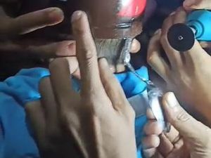 Throwback: Drama Kepala Nyangkut di Kaleng Biskuit