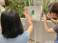 Samsung Pop-up Store