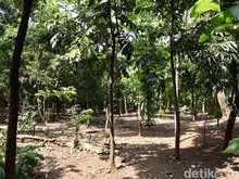 Heboh Lagi Taman Kota Cawang Jadi Sarang Asusila Sesama Lelaki