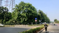 Hutan Kota UKI Cawang ini terletak di Jalan Panjaitan, Kelurahan Kebon Pala, Kecamatan Makasar, Jakarta Timur, Senin (31/7/2023).  