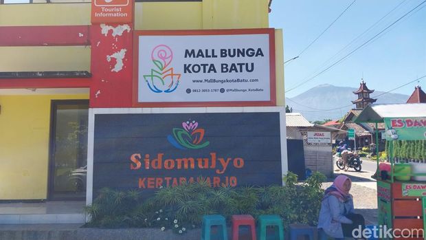 tanaman hias kota batu