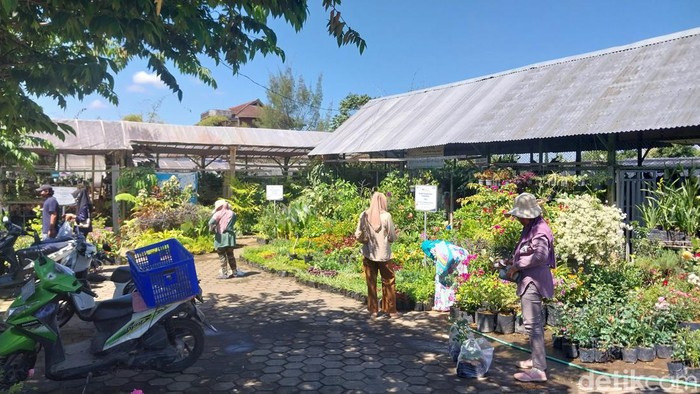 tanaman hias kota batu