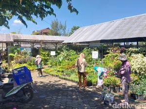 Ini Salah Satu Kawasan Pembudi Daya Bunga Hias Terbesar di Indonesia, Ada Malnya