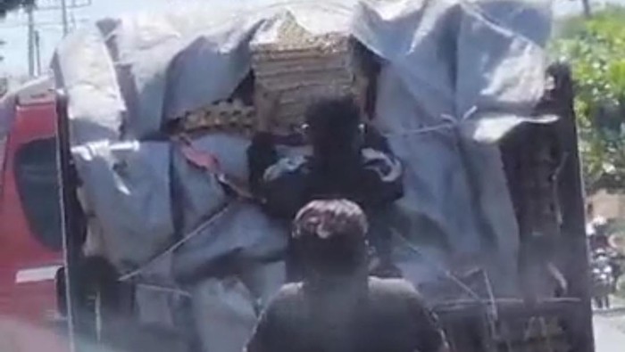 Tangkapan layar video aksi bajing loncat di Langkat
