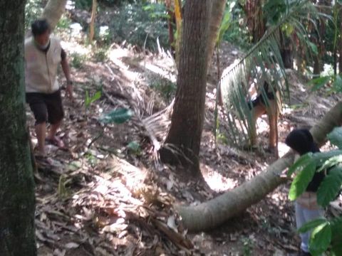 Tim peneliti UGM sedang meninjau rekahan tanah dekat kemunculan sinkhole di Banjararum, Kalibawang, Kulon Progo, Sabtu (29/7/2023).
