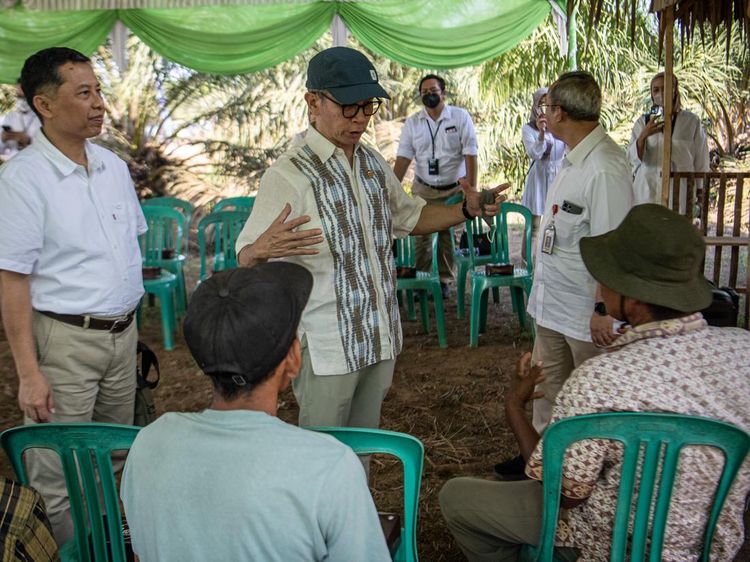 Dukungan Pembiayaan Petani Kelapa Sawit agar Sejahtera